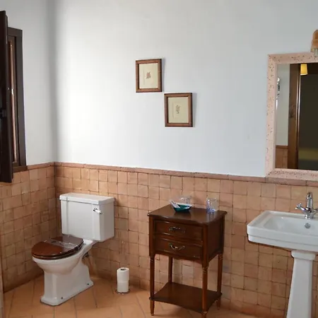 Turísticos - Alisos Aliseda