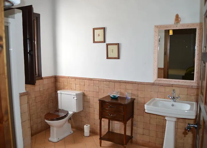 Turísticos - Alisos Aliseda